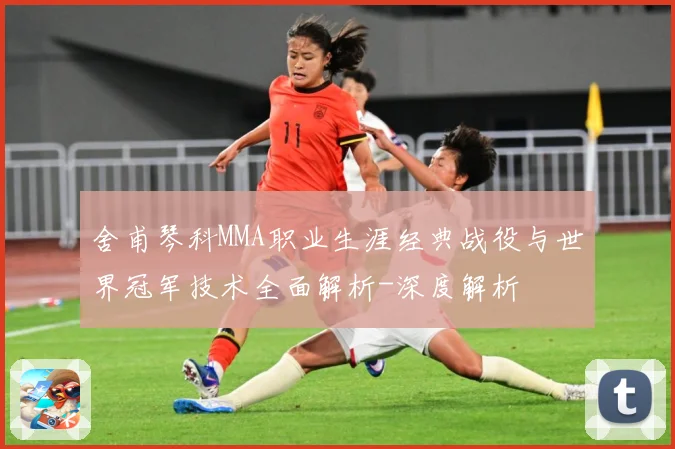 舍甫琴科MMA职业生涯经典战役与世界冠军技术全面解析-深度解析