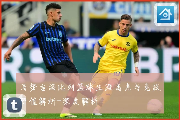 马努吉诺比利篮球生涯高光与竞技价值解析-深度解析