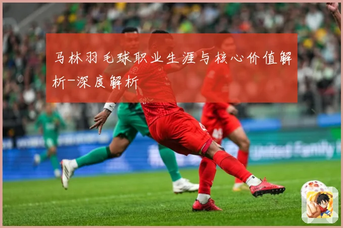 马林羽毛球职业生涯与核心价值解析-深度解析
