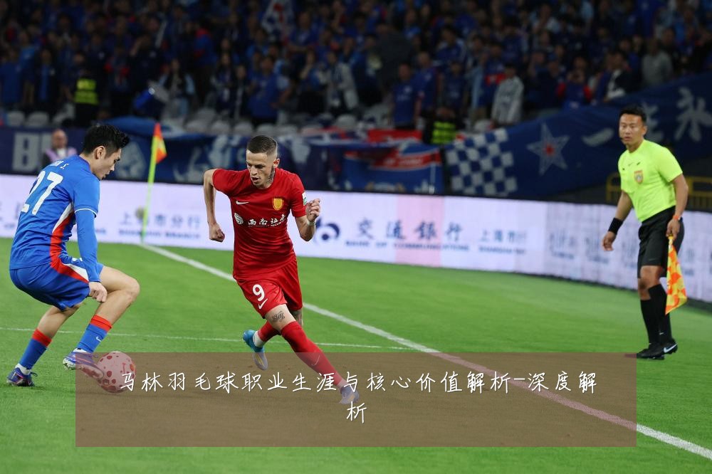马林羽毛球职业生涯与核心价值解析-深度解析
