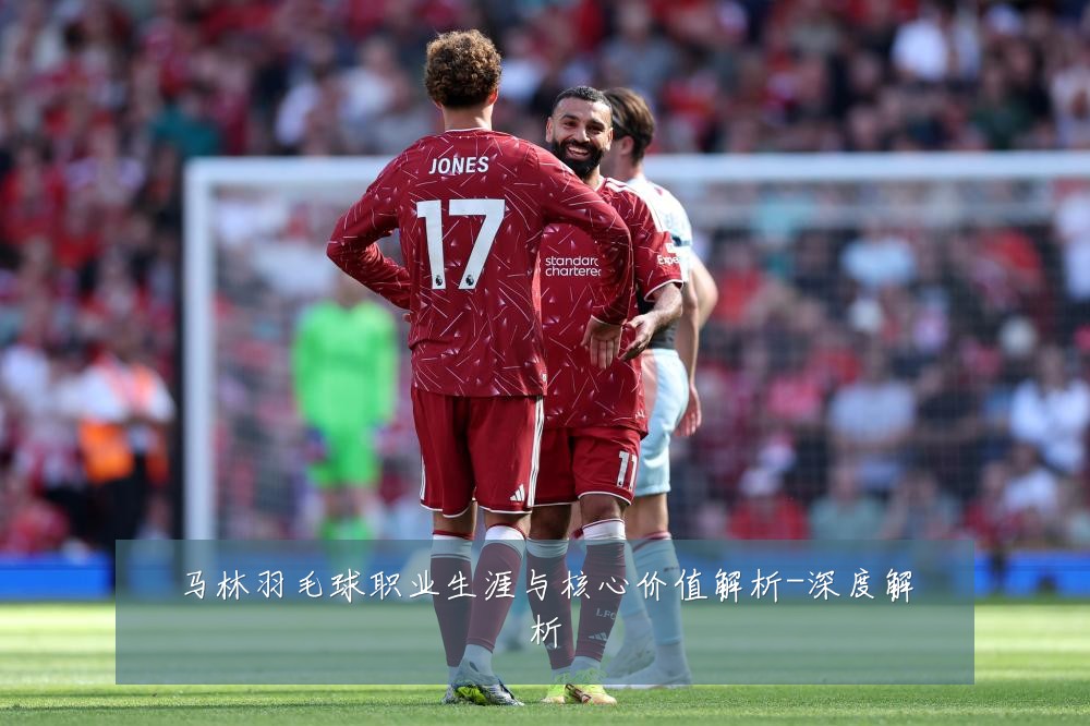 马林羽毛球职业生涯与核心价值解析-深度解析