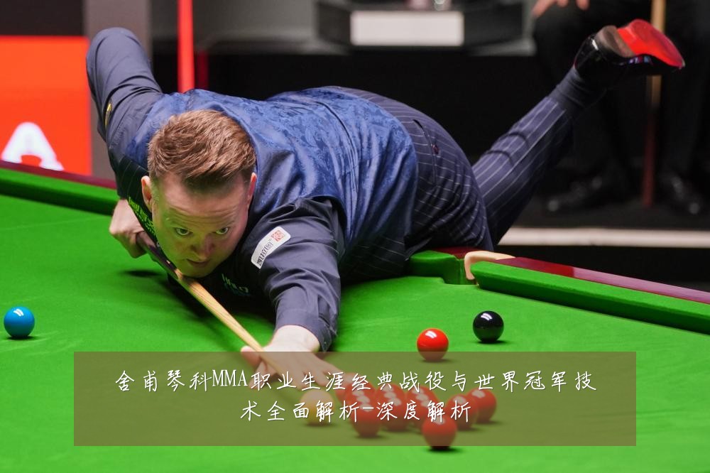 舍甫琴科MMA职业生涯经典战役与世界冠军技术全面解析-深度解析