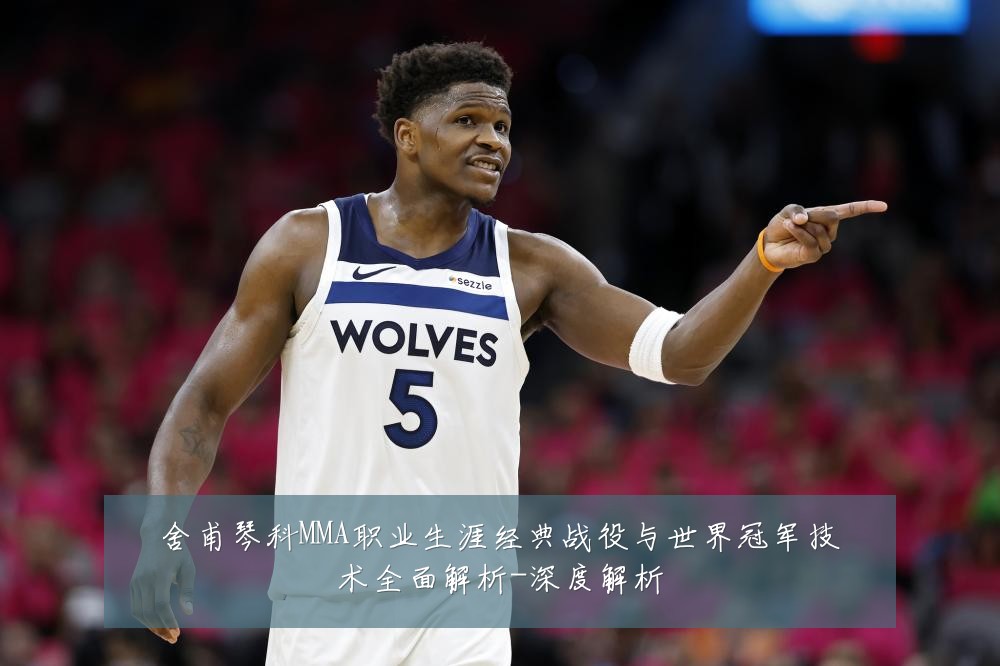 舍甫琴科MMA职业生涯经典战役与世界冠军技术全面解析-深度解析